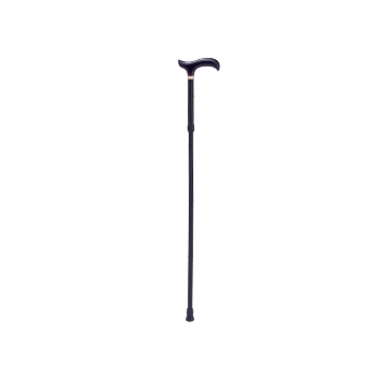 Walking Stick